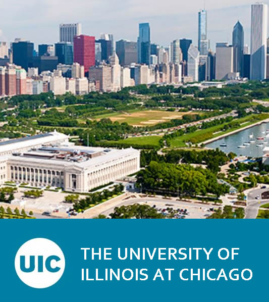 Illinois Üniversitesi Chicago