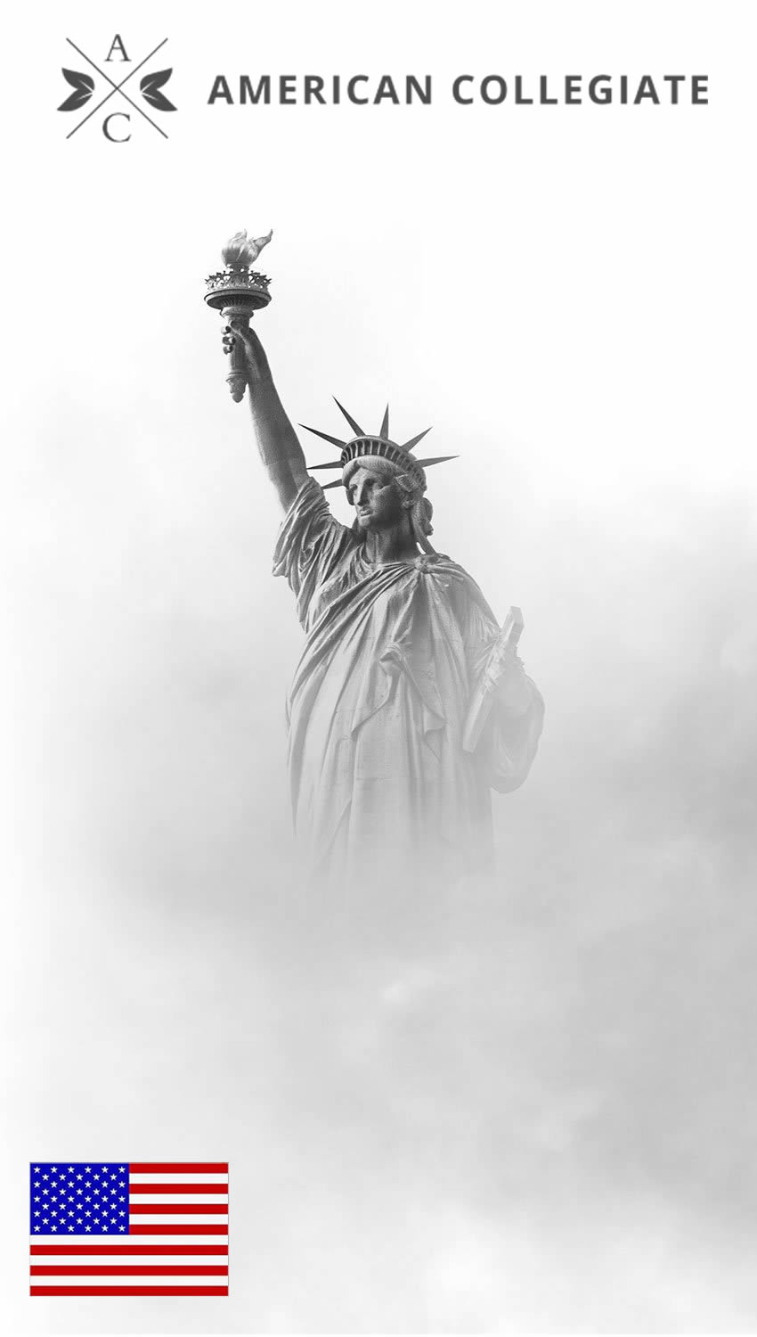 USA Özgürlük Heykeli